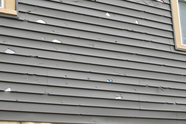 How To Choose The Right Materials for Your Siding Installation in 'Havre De Grace, MD