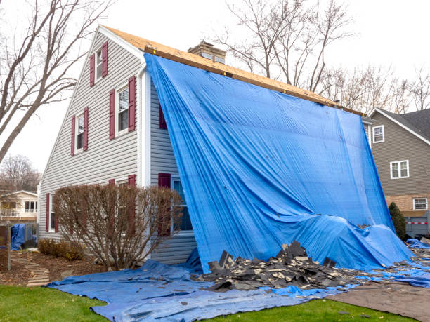 Best Stucco Siding  in Havre De Grace, MD